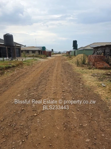 glaudina stand for sale