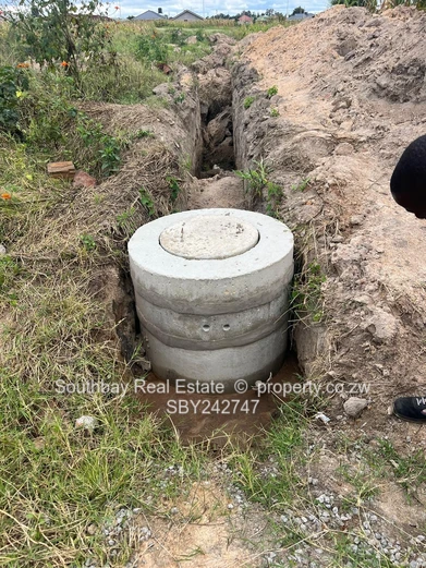 Investment Opportunity