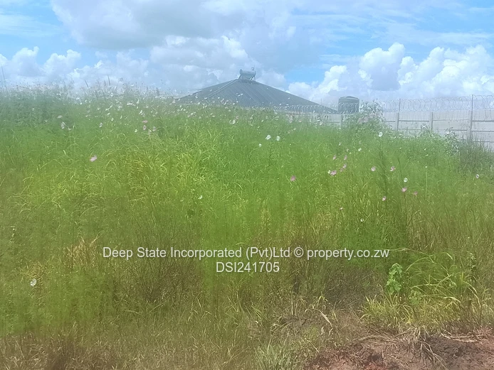 Avonlea Stand for sale 