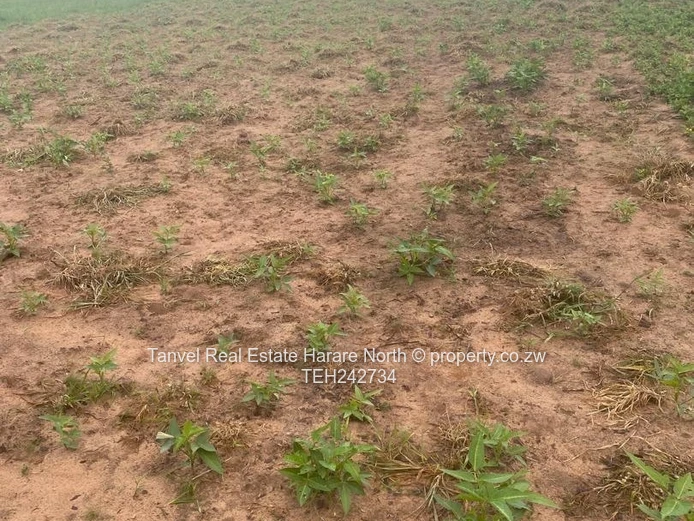 Chegutu Drummond  Farm for Sale!   Ideal for Weddings, Water Resorts, Lodges, Farming and More  