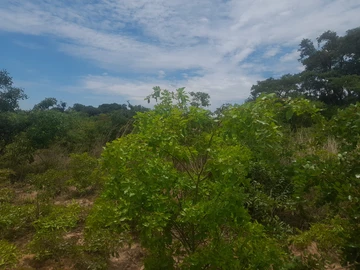 Farm & Agricultural Land