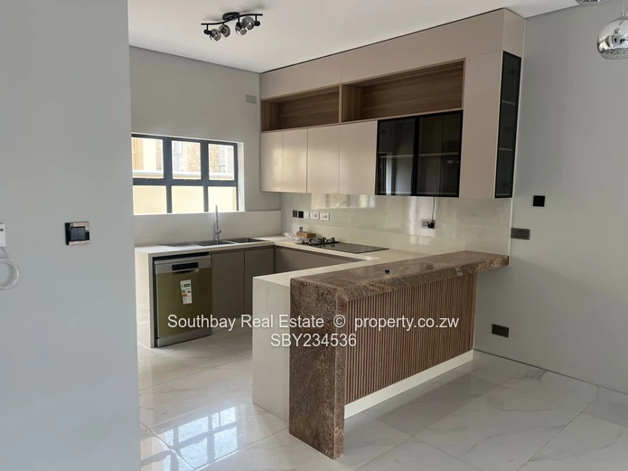 Luxurious Duplex Apartment for Rent