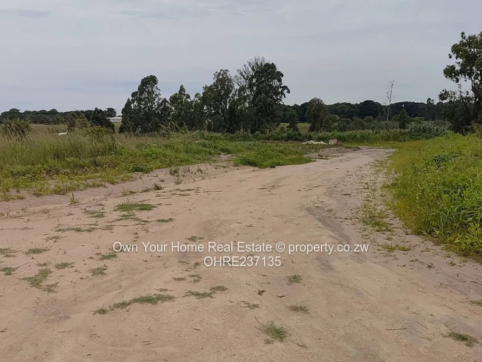 Greenskye Ruwa stands for sale 