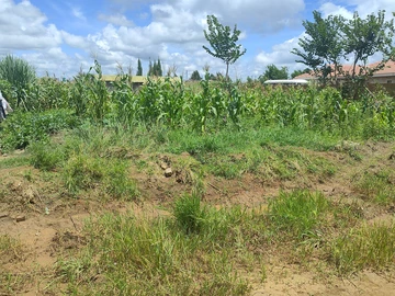 Stands & Residential Land