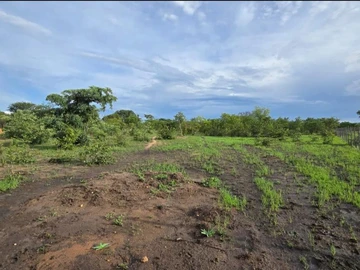 Farm & Agricultural Land