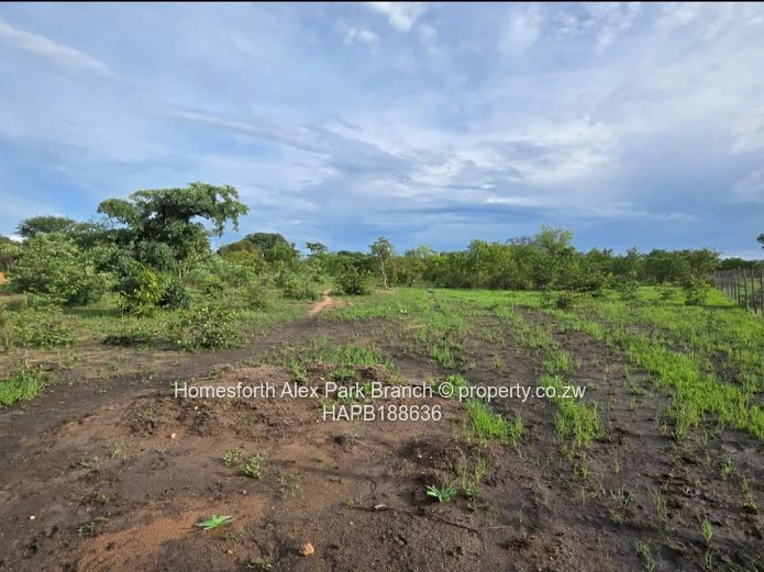 Kadoma Clonmoran Plot 