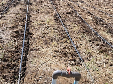 Farm & Agricultural Land