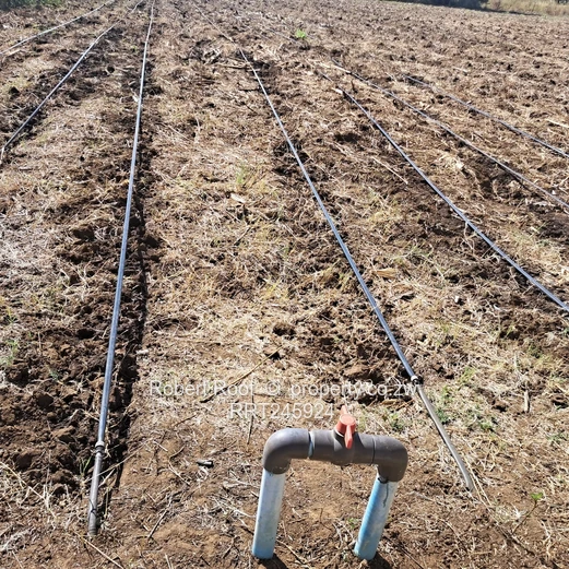 Agro residential stand (Sole Mandate)