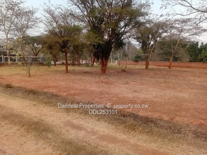 2000m² Carrick Creagh Stand — Main Road Frontage, Tarred Access