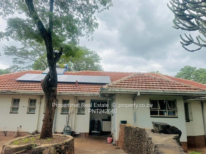 Solid neat family home!!!