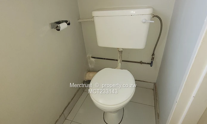 Neat simplex garden flat (Sole Mandate)