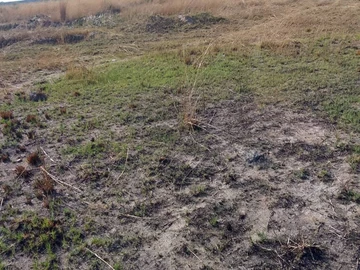 Commercial & Industrial Land