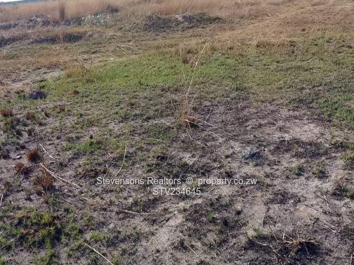 Immense Industrial Stand For Sale In Gweru