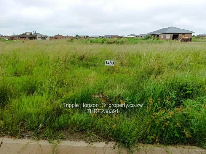 Nyabira stand Pennyrose for sale 