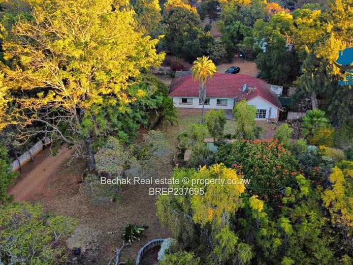 Hillside, Bulawayo: 3BR on 4,047m² — Pool & Borehole