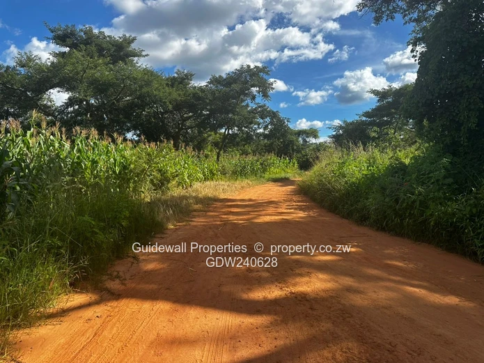 Crowhill stands for sale, a choice of 2  (Sole Mandate)