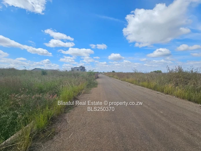 Nyeredzi Ridge Stand for sale