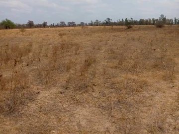 Farm & Agricultural Land