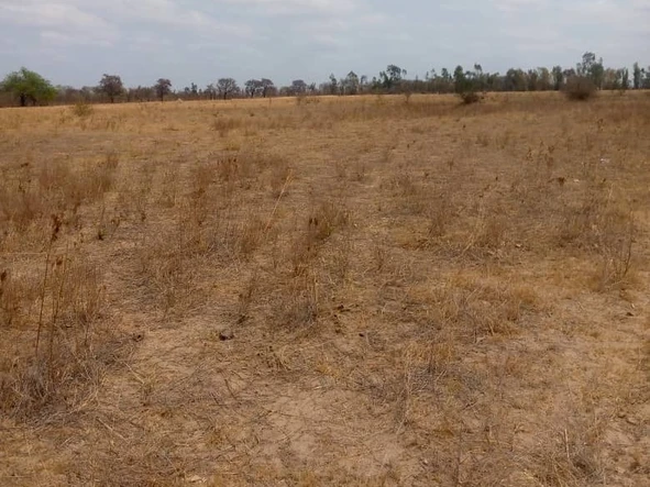 Farm & Agricultural Land