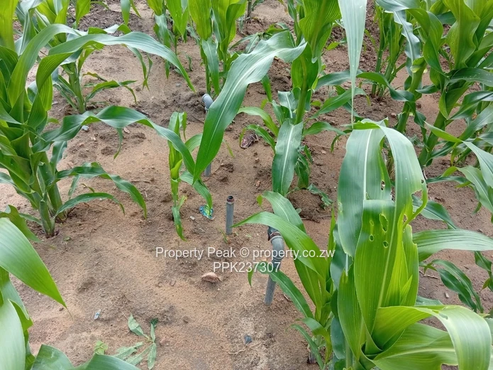 Mount Pleasant Heights Phase 2 - Stand For Sale