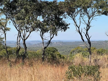 Farm & Agricultural Land