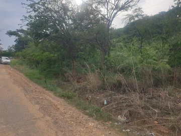 Farm & Agricultural Land