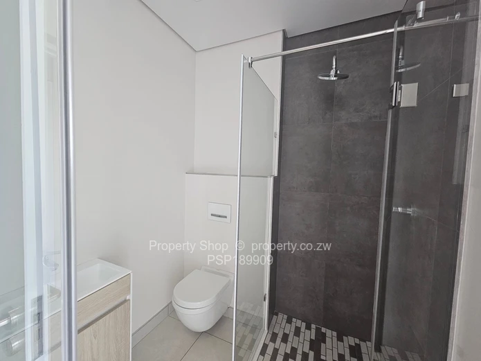 Brand new world class luxurious penthouse in Sandton. 