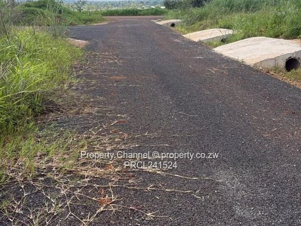 A Choice of three stands