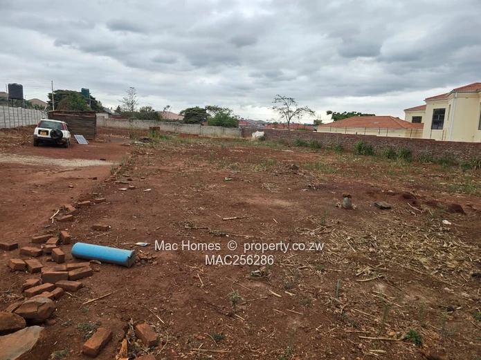 Ready to Build Stand for Sale