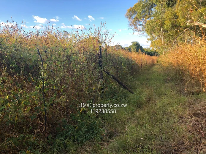 Development Opportunity 