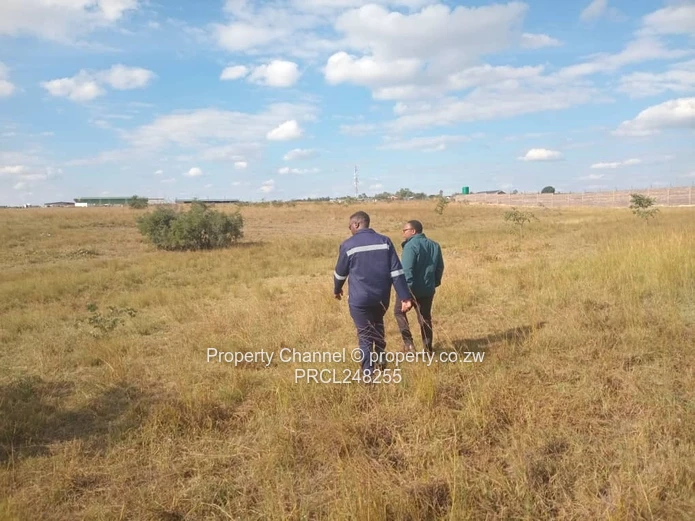5,000 sqm Level Plot in 8km west of Gweru CBD — Open Grass, Adjacent Walled Property