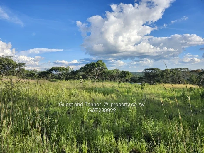 Ruwa Agro-Residential 1.64 Hectare Plot