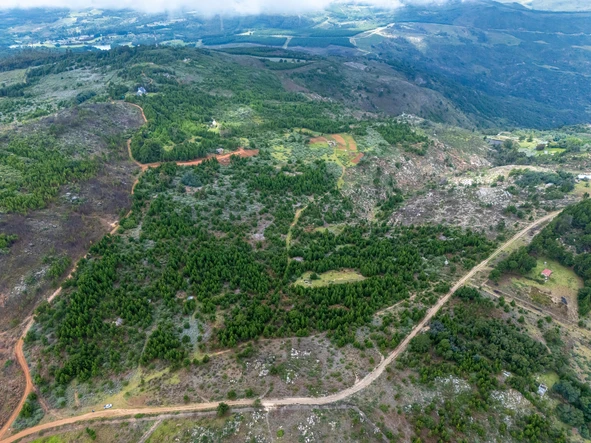 Commercial & Industrial Land