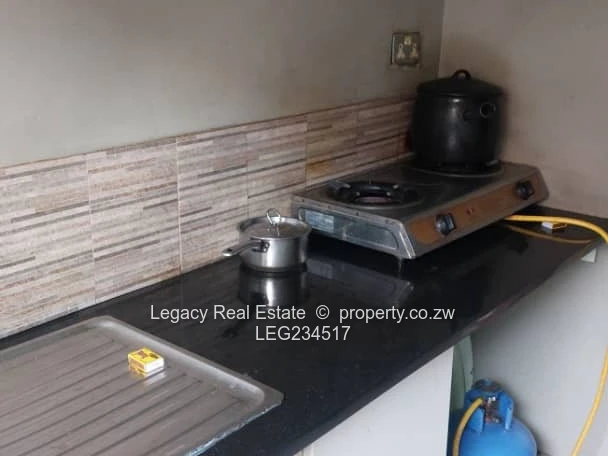 Aspindale Park Modern Family Home for Sale (Sole Mandate)