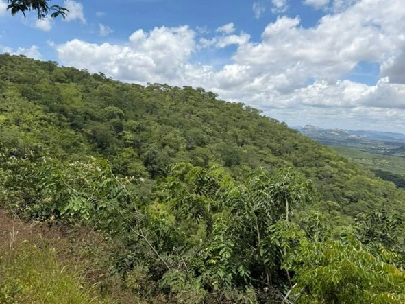 Commercial & Industrial Land