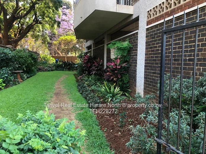 Very modern 3 beds apartment in the avenues