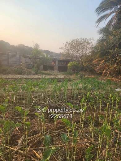 Mandara Residential Stand For Sale