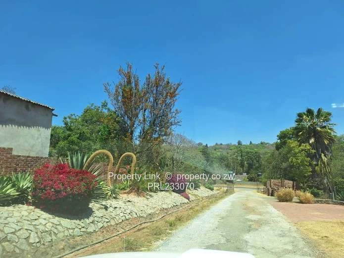 Opportunistic Land Ready To Build Your Dream Home