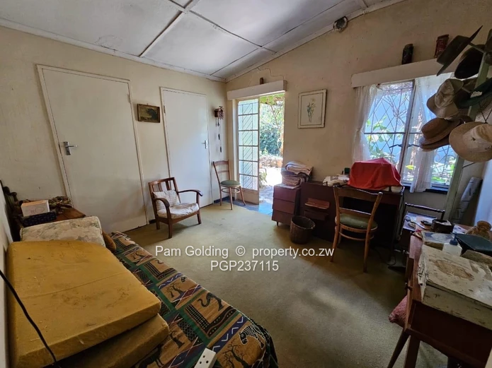 Expansive Gwanda Gem