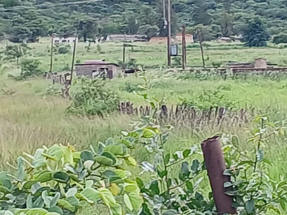 Farm & Agricultural Land