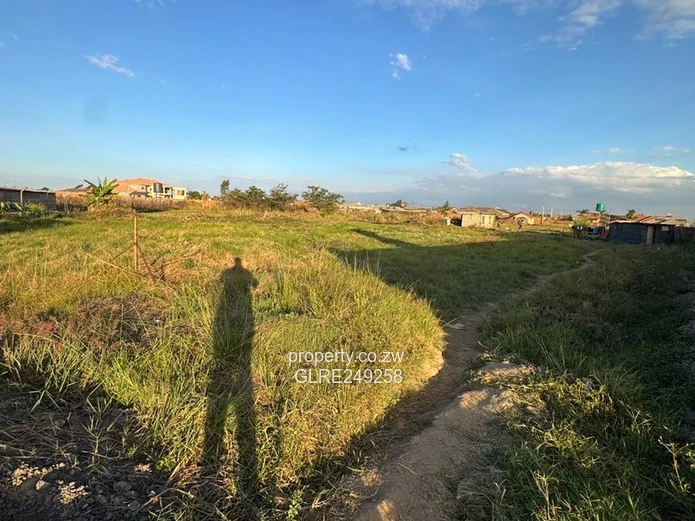 Haydon Park 4,449m² Open Stand — Gravel Access, Development Ready