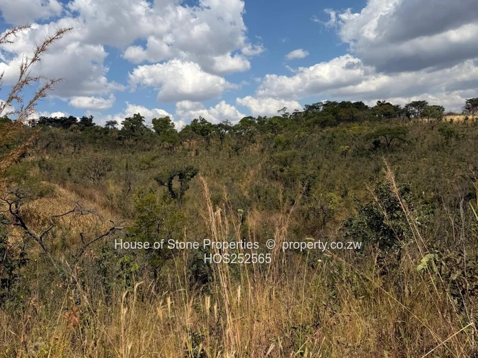 Christon Bank Land  For Sale