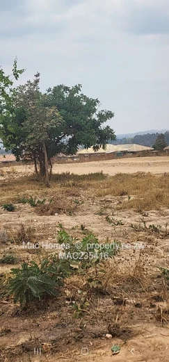 Glaudina land for development 