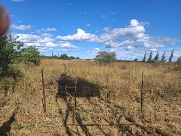 Farm & Agricultural Land