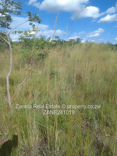 Beatrice Plot for sale