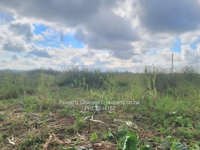 SUNSET VIEWS - Prime Residential Stand 