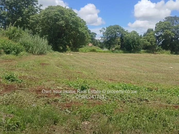 1000 sqm Old Marlborough Stand - Cleared with Water Access