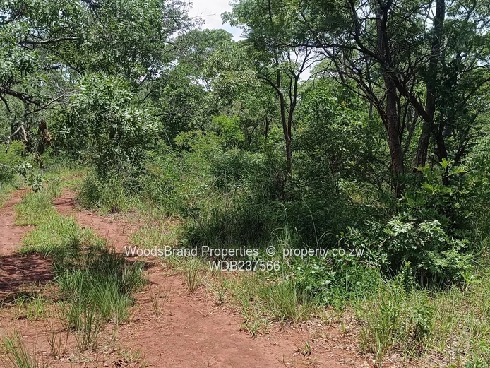 Chegutu, Dorton Plots For Sale