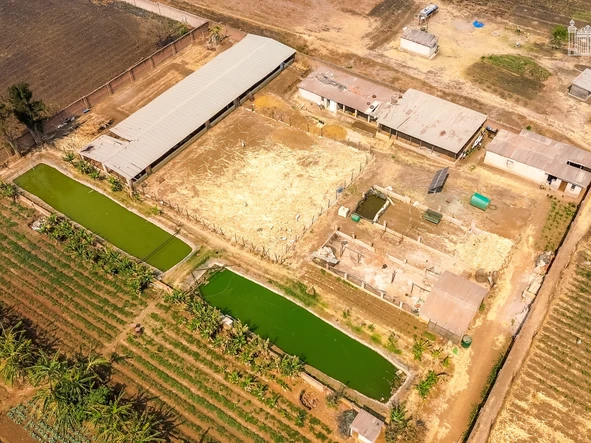 Farm & Agricultural Land