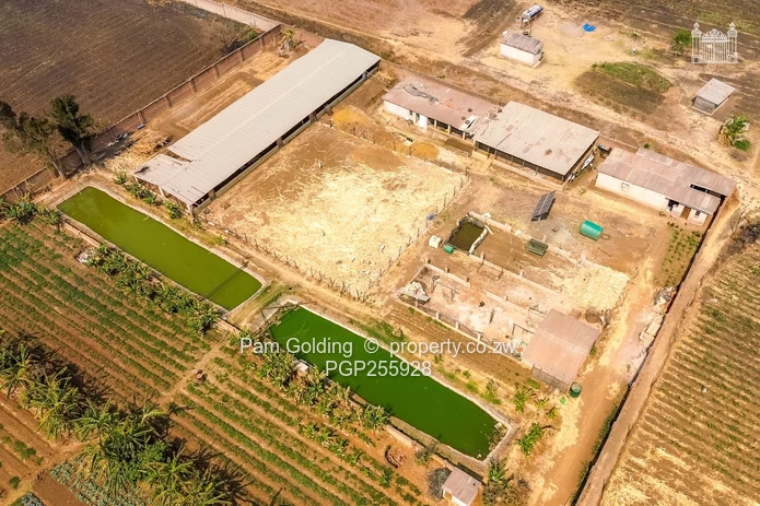 1.25HA Agricultural Plot Along Bulawayo Rd